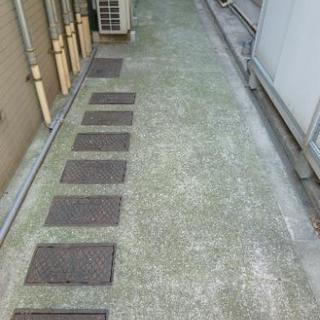 外壁洗浄