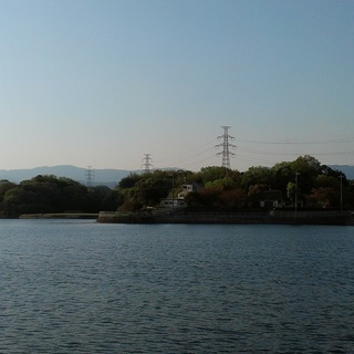 日曜の朝に光明池を走ろう。
