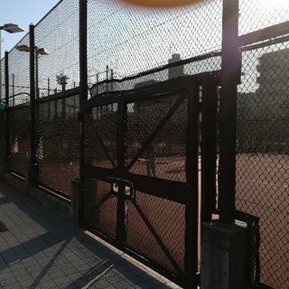 テニスボーイ🎾