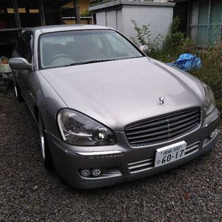 日産シーマ❤若者向き〜の画像