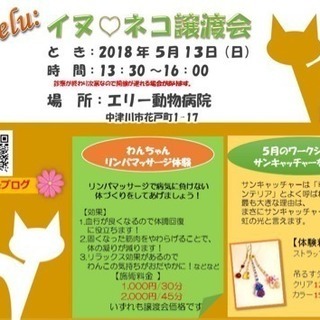 イヌ♡ネコ 譲渡会