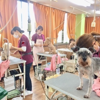 高齢犬になると飼い主がお手入れをしないといけなくなります。その日...