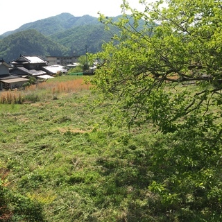田舎の土地－宅地(現況 古家あり)と畑と山林－をお譲りします。 - 不動産