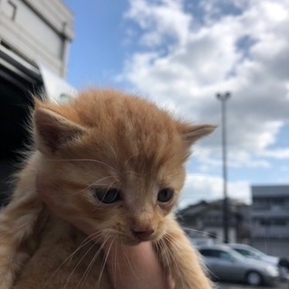 警察署より引き取りました。