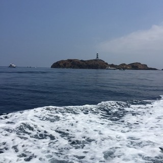 釣り！ルアーフィッシング（本気）