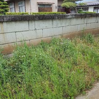 草刈り作業任せて下さい！処分も致します！！ - 上田市