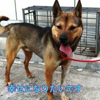 やんちゃ盛りの仮名 ワタル君