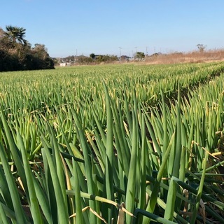 小規模な工事の仮設工事、解体工事、金属工事、内装下地などの多能工募集！！の画像