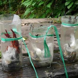 ペットボトル 4リットル　20本セット　貯金箱　ジョウロ　キャンプ　重り　ダンベルや魚取　や　水やり工作などに( ^-^)の画像