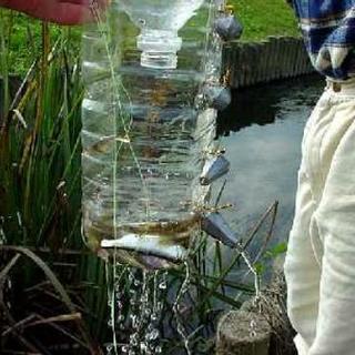 ペットボトル 4リットル　20本セット　貯金箱　ジョウロ　キャンプ　重り　ダンベルや魚取　や　水やり工作などに( ^-^)の画像