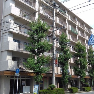 🎊ご成約いただきありがとうございました。m(_  - 不動産