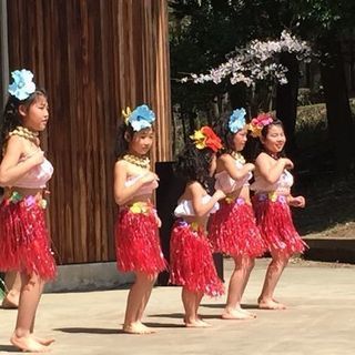 ケイキちゃん体験会の画像