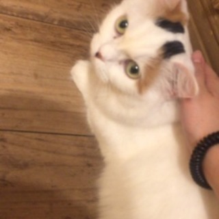 【東京】お友達になりましょー！【美容】