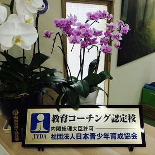 無料体験レッスン 実施中！の画像
