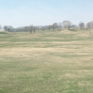 ゴルフ🏌️