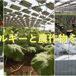 農業による地域ブランディングビジネス☆未経験歓迎☆マーケティング担当募集！の画像