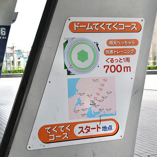 【ナゴヤドーム周回】平日早朝ランニング - 名古屋市
