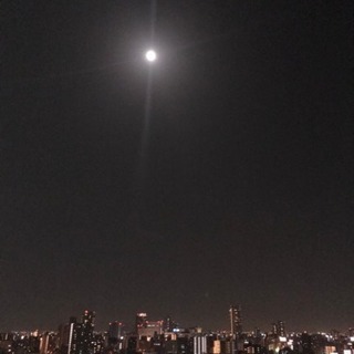 明日の夜に飲み行ける人募集🍷