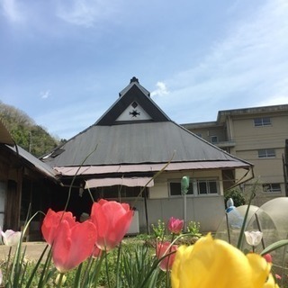 6月16日（土）好きな具材を好きなだけ。窯焼きピザ会開催！ - メンバー募集