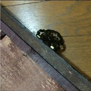 ☆レア☆ 河鍋暁斎 ガラス絵の画像