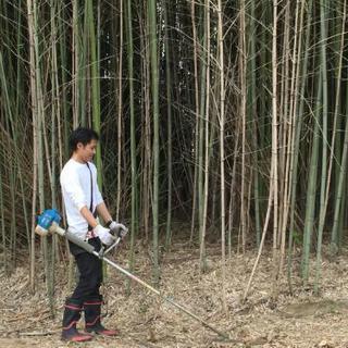 🉐広範囲の草刈り、庭木の手入れします❗