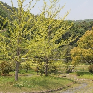 一緒に写真を撮りに行ける人
