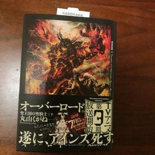 【値下げ！！】オーバーロード　13巻　一回読んだのみ
