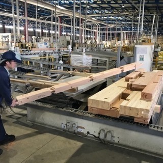 日払いOK！リフトマン大量募集！木材ピッキング作業♪〈55-B〉の画像