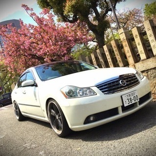 PY50FUGA350GT
