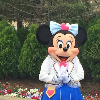 ５/５(土)一緒にディズニーシーに行きませんか！？ディズニーイー...