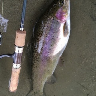 釣り行ける方探しております！