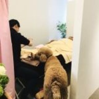 4月１６日　New Open 「軽井沢　マミーセラピー」