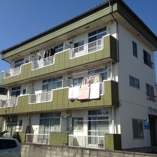 【グリーンハイツ歌川 部屋番号：301  】今だけ家賃１ヶ月無料！都市ガス物件につき経済的です♪キッチン、トイレ、リフォーム済みでキレイ♪バス、トイレ別で洗濯機も室内です！の画像