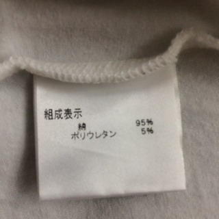 セオリー Tシャツの画像