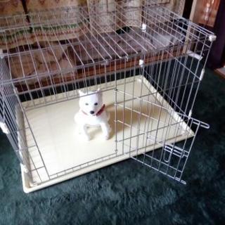 犬猫用ゲージの画像
