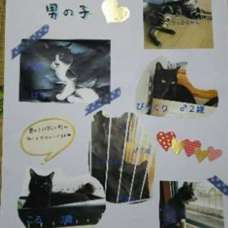 切実にお願いします