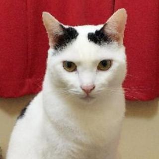 住吉区、住之江区でグルチャメンバー募集！