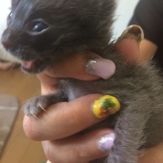 貰ってください。