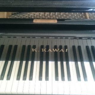 お子様からシニア世代までピアノレッスン♪オンラインや出張でのレッスンも致します♪の画像