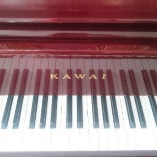 お子様からシニア世代までピアノレッスン♪オンラインや出張でのレッスンも致します♪の画像