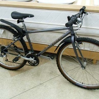 GARY FISHER ヴィンテージ自転車 MARLIN 26インチ マウンテンバイク