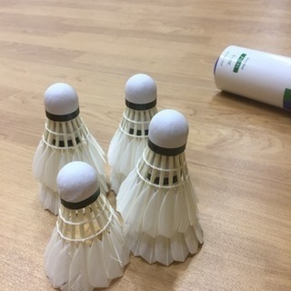 気軽にバドミントンしませんか？