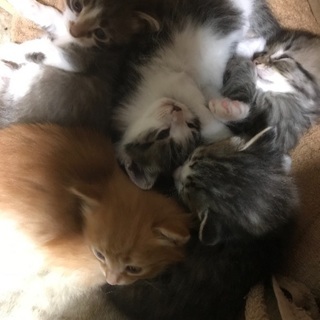 4月12日に生まれました