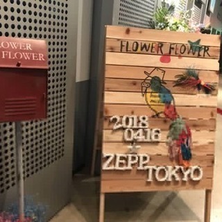 ライブやフェスに行こう！