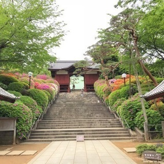 お友達募集 - 友達