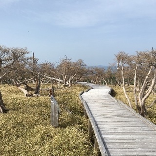 山登り - 友達