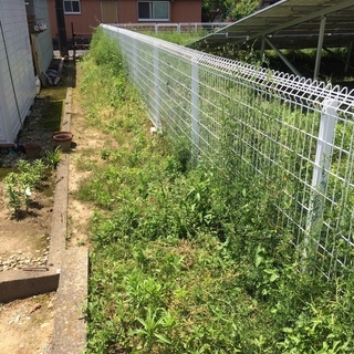 草むしりを依頼したいです
