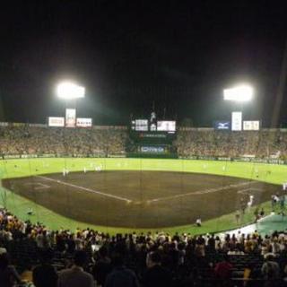 野球観戦