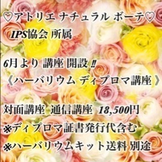 ハーバリウム ディプロマ 対面講座 通信講座の画像