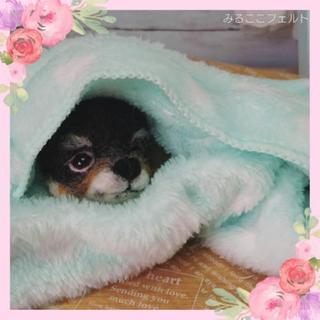 ワンdayワークショップ～羊毛フェルト＊うちのわんこ作ろう (初...